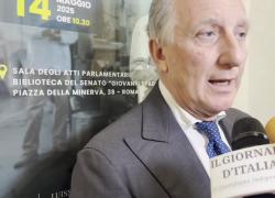 Costabile (Luiss): "Il calo degli investimenti in start up è fisiologico, il ritardo non è un destino, dobbiamo agire ora"