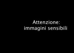 Gaza, bombardata una scuola-rifugio da Idf, 6 morti, direttore dell&rsquo;ospedale Al-Shifa: &ldquo;Israele continua ad attaccare anche minori&rdquo; - VIDEO