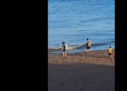 Gran Canaria, squalo di 2 metri nuota velocissimo verso i bagnanti a riva, scoppia il caos a Playa de Melenara - VIDEO