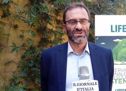 LifeGate, 7° Osservatorio.  Do (Michelin Italia): "Abbiamo ridotto le emissioni del 44% dal 2010"