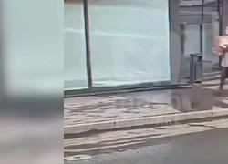 Attentato a San Pietroburgo, il momento in cui Daria Trepova “consegna” la bomba - VIDEO