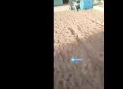 Sudan, proseguono atrocità RSF in Darfur: colpito ospedale Kornoy, 7 morti, civili costretti a sdraiarsi per terra prima di essere investiti - VIDEO