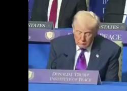 Board of Peace, Trump si addormenta durante prima riunione di Consiglio, poi si sveglia col rumore degli applausi - VIDEO VIRALE