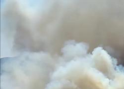 Incendio Albenga-Arnasco ultima ora, 120 sfollati e case bruciate: VIDEO