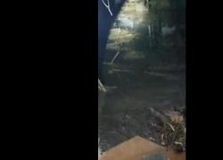 Frana a Ischia,  soccorritori salvano 60enne sommerso dal fango: "Vivo per miracolo" - VIDEO