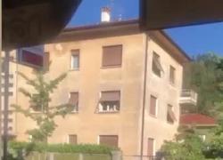 Rovereto, il nigeriano Nweke Chukwuka in piedi sulle auto, l’aggressione al ciclista e ai carabinieri nell’agosto del 2022 - VIDEO 