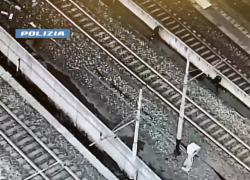 Milano Rogoredo, maxi blitz nel "bosco della droga", la corsa degli agenti sui binari della stazione e il controllo dall'elicottero - VIDEO