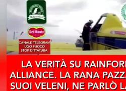 Banane, è allarme pesticidi e fungicidi nelle piantagioni in Ecuador, li usano anche Del Monte, Dole e Chiquita nonostante il bollino "Rainforest". Lavoratori privi di protezioni