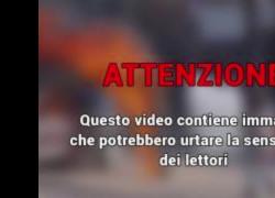 Cisgiordania, il VIDEO CHOC di dozzine di pecore bruciate vive in fattoria palestinese a As-Samu, Israele: "Incendio nato da guasto elettrico"