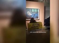 Mantova, quadro di Picasso imbrattato da eco-vandali, protesta contro l'azienda di salumi Levoni, insulti dei presenti - VIDEO