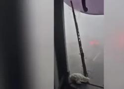 Alluvione Valencia, tromba d'aria ribalta tir e auto in autostrada, guardrail distrutto - VIDEO