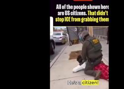 Usa, Ice immobilizza cittadini statunitensi trattati come immigrati: "Prima violenza poi domande, nessuno &egrave; al sicuro qui" - VIDEO