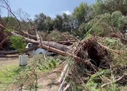 Tromba d'aria Sabaudia oggi, il video con i danni nel Lido di Latina a Terracina