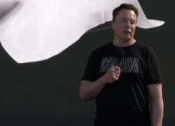 Neuralink, Musk sotto indagine per oltre 1500 animali morti: “Esperimenti atroci”