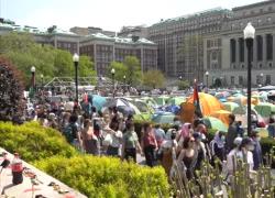 Proteste  pro Palestina alla Columbia University, blitz della polizia, 300 arresti, l'ateneo: "Non ci hanno lasciato scelta"
