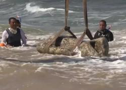 Riemergono dal mare antichi reperti egizi ad Alessandria