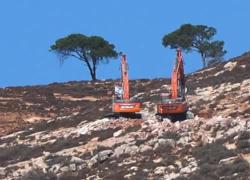 L'esercito israeliano ha tagliato i loro alberi: ora i palestinesi in Cisgiordania temono che il prossimo passo sarà il trasferimento forzato