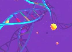 AIRC, viaggio nella cellula umana per scoprire come nasce la ricerca