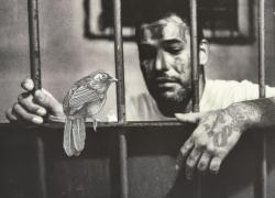 La Project Room del PAC Milano presenta il duo Insomnia