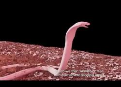 Dietro le quinte digitali di Sandokan, effetti speciali Made in Italy