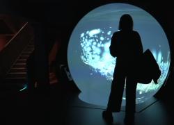 L'isola del tempo profondo: Hito Steyerl in Fondazione Prada