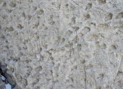 Nel Parco dello Stelvio trovate migliaia di orme di dinosauri