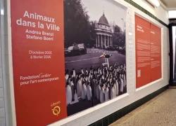 Parigi, Boeri e Branzi e una citt&agrave; non pi&ugrave; antropocentrica