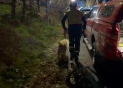 Arezzo, esplosione e crollo di un'abitazione: 3 feriti