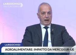 Mercosur, Bergesio: accordo deve tutelare agricoltori italiani