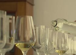 Dalle vigne ai bicchieri: a Stellenbosch si assaggia l'acqua