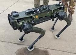 Gen. Gerhartz: Steadfast Dart segno importante unit&agrave; e forza Nato