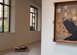 A Fondazione Elpis Smooth Operator di William Miklos Anderson