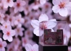 Air Wick, debutto alla 76  edizione del Festival di Sanremo