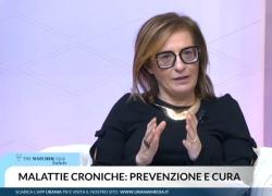On. Patriarca (FI): prevenzione premessa necessaria