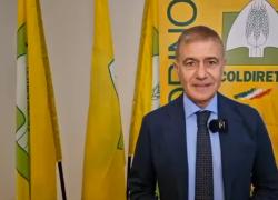 Pecoraro Scanio: "Agricoltura Ecodigital &egrave; guidata da donne e giovani"