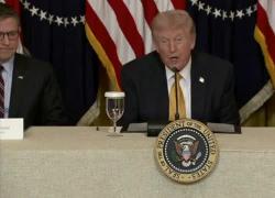 Iran, Trump: alcuni alleati non entusiasti di proteggere Hormuz