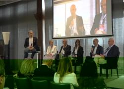 Leishmaniosi, allarme vettori in espansione