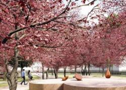 Chi è lo scultore delle opere esposte nel nuovo giardino Zen a Milano?