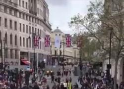 Incoronazione di Carlo III, la protesta a Trafalgar Square: "Not my King". A Londra c'è chi canta "non è il mio re"  - VIDEO
