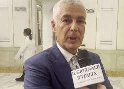 Mariani (Leonardo): "Necessario futuro di integrazione tra Europa e Africa; con rielezione Trump investimenti nella sicurezza globale non verranno rallentati"