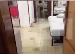 Tatiana Tramacere, 11 giorni nel disordine dell’appartamento dell'amico rumeno: piatti sporchi, mozziconi e divano usato come stendino - VIDEO