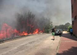 Roma est, incendio a Tor Cervara, fiamme vicino al Parco del fiume Aniene, i residenti e il salvataggio delle macchine - VIDEO