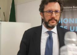 Enel Cuore, Michele Crisostomo: "Al centro della nostra attenzione bambini e fragilità sociali"


