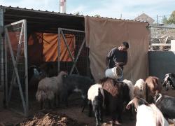 Cisgiordania, Israele ordina demolizione di un parco giochi vicino a Hebron, costruito solo due anni fa serve circa 500 residenti - VIDEO