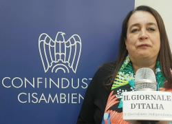 Stati Generali della Green Economy 2021, Leonessi (Confindustria): "L'Italia è prima a livello europeo"