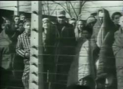 Giornata della memoria, 80° anniversario della liberazione di Auschwitz, il 27 gennaio 1945 le truppe sovietiche dall'Armata Rossa falciarono la recinzione con il carro t-34 - VIDEO