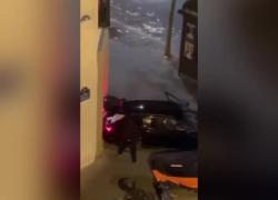 Parigi, ladri sfondano vetrina Louis Vuitton con l'auto e portano via vestiti, borse e gioielli da centinaia di migliaia di euro - VIDEO