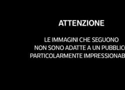 Autista dello scuolabus accusa un malore improvviso, 13enne prende il controllo del mezzo e salva tutti - VIDEO
