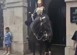 Cavallo della guardia di re Carlo III morde una turista al braccio e la strattona, c'era cartello con avvertimento del "possibile pericolo" - VIDEO