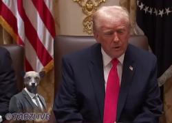 Usa, Trump: "Guerra in Ucraina è un disastro, se la vincessi mi spetterebbe un Nobel per ogni conflitto, ma non voglio essere avido" - VIDEO